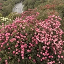 毕节旅游 缩略图 2
