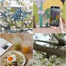 宁波旅游 缩略图 1