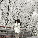宁波旅游 缩略图 10