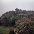 毕节旅游 缩略图 2