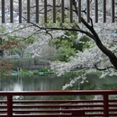 宁波旅游 缩略图 12