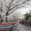宁波旅游 缩略图 11