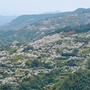 宁波旅游 缩略图 5