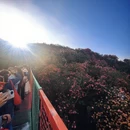 毕节旅游 缩略图 7