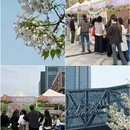 宁波旅游 缩略图 8