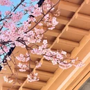 宁波旅游 缩略图 7