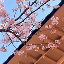 宁波旅游 缩略图 6