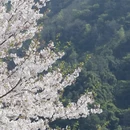 宁波旅游 缩略图 1
