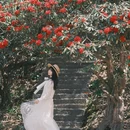 遵义旅游 缩略图 4