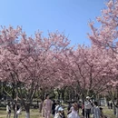 宁波旅游 缩略图 1