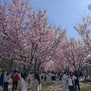 宁波旅游 缩略图 2