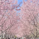 宁波旅游 缩略图 3