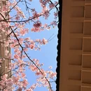 宁波旅游 缩略图 8