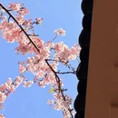 宁波旅游 缩略图 9