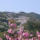 宁波旅游 缩略图 4