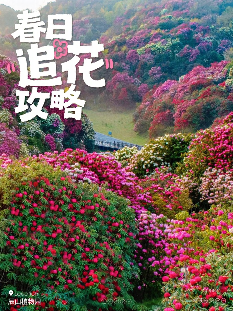遵义旅游