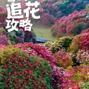 遵义旅游 缩略图 1