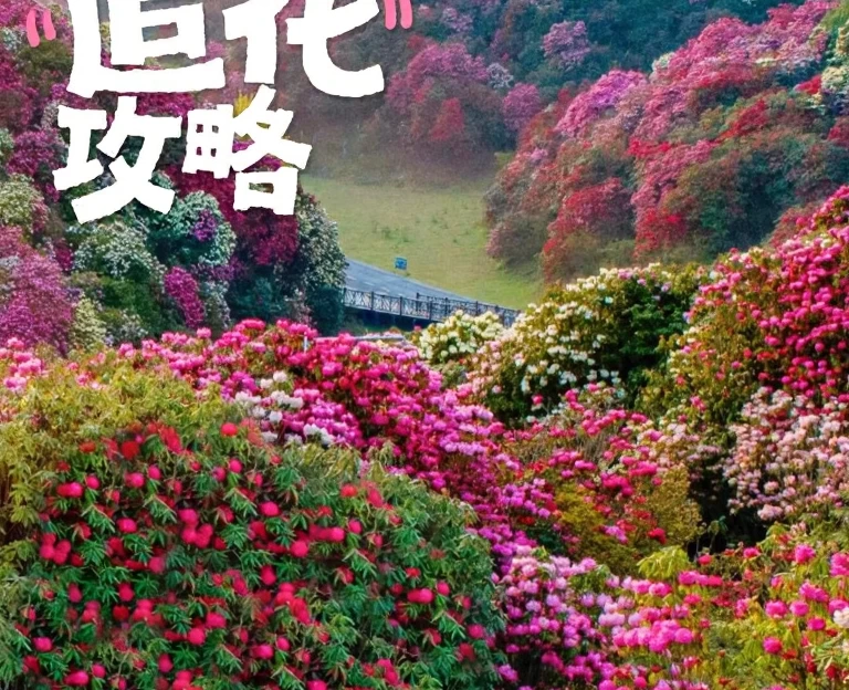 遵义旅游 1