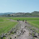 宁波旅游 缩略图 7