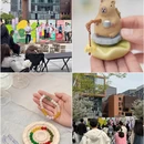 宁波旅游 缩略图 11