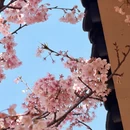 宁波旅游 缩略图 2