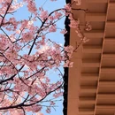 宁波旅游 缩略图 5