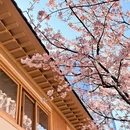 宁波旅游 缩略图 10