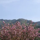 宁波旅游 缩略图 6