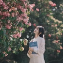 遵义旅游 缩略图 10