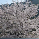 宁波旅游 缩略图 7