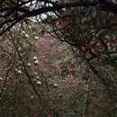 毕节旅游 缩略图 11