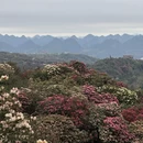 遵义旅游 缩略图 1