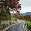 毕节旅游 缩略图 3