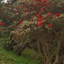 毕节旅游 缩略图 4
