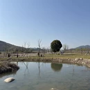宁波旅游 缩略图 8