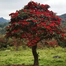 毕节旅游 缩略图 6