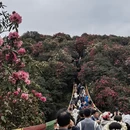 毕节旅游 缩略图 12
