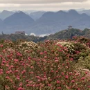 遵义旅游 缩略图 2