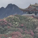 毕节旅游 缩略图 13