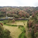 毕节旅游 缩略图 5