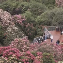 毕节旅游 缩略图 16