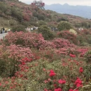 遵义旅游 缩略图 6