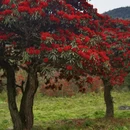 毕节旅游 缩略图 9