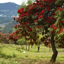 毕节旅游 缩略图 8