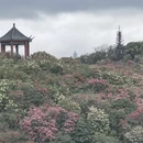 毕节旅游 缩略图 15