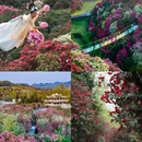 遵义旅游 缩略图 2