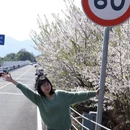 宁波旅游 缩略图 8
