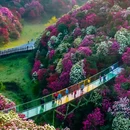 遵义旅游 缩略图 4
