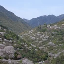 宁波旅游 缩略图 9