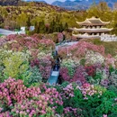遵义旅游 缩略图 5